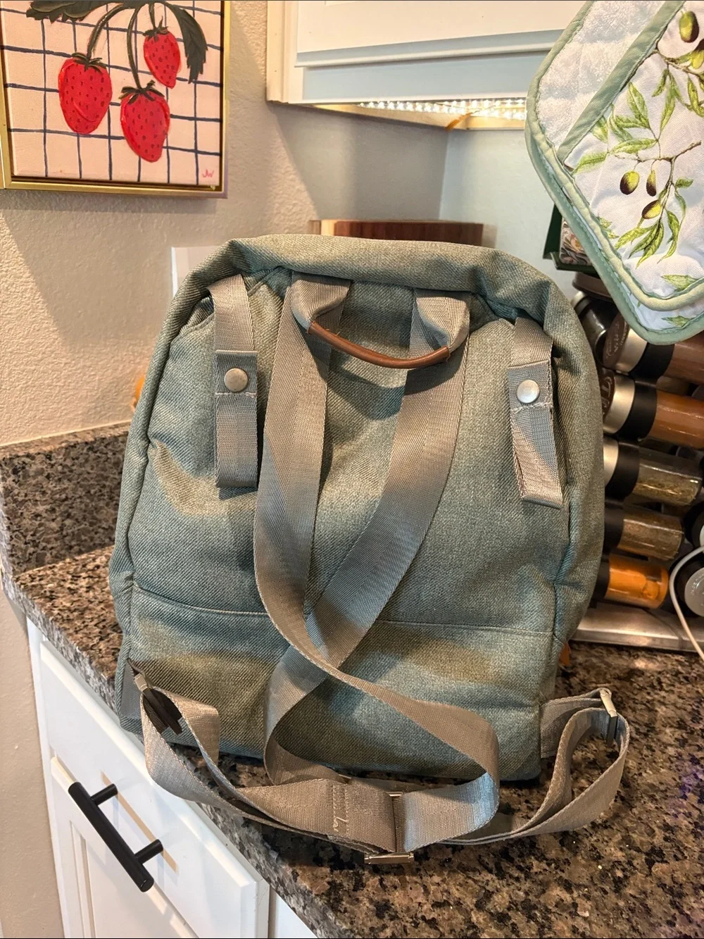 UPPAbaby vguc your